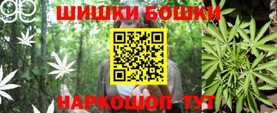 индика Мариинск