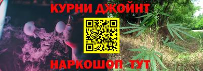 сатива Можга