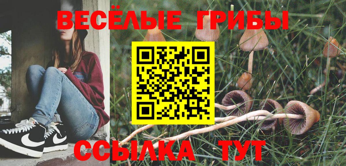 Псилоцибиновые грибы мицелий Советск